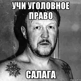 Салага это