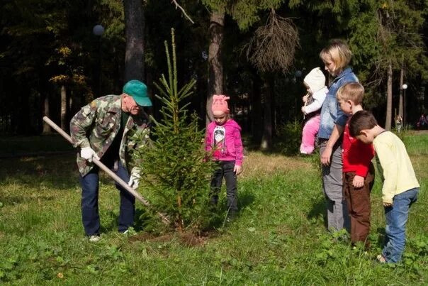 Посадка деревьев детьми. Дети сажают деревья. Высадка деревьев в лесу. Посадка леса. Конкурс чалавек свайго лесу