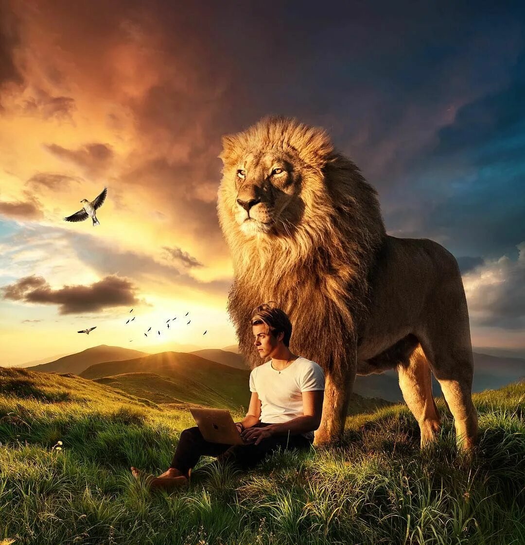 Качества человека льва. Знак зодиака лев здоровье. Знак зодиака лев. Качества человека льва. Качества человека льва.