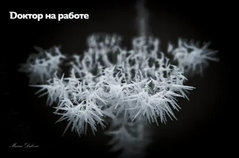 Сибирь дзен