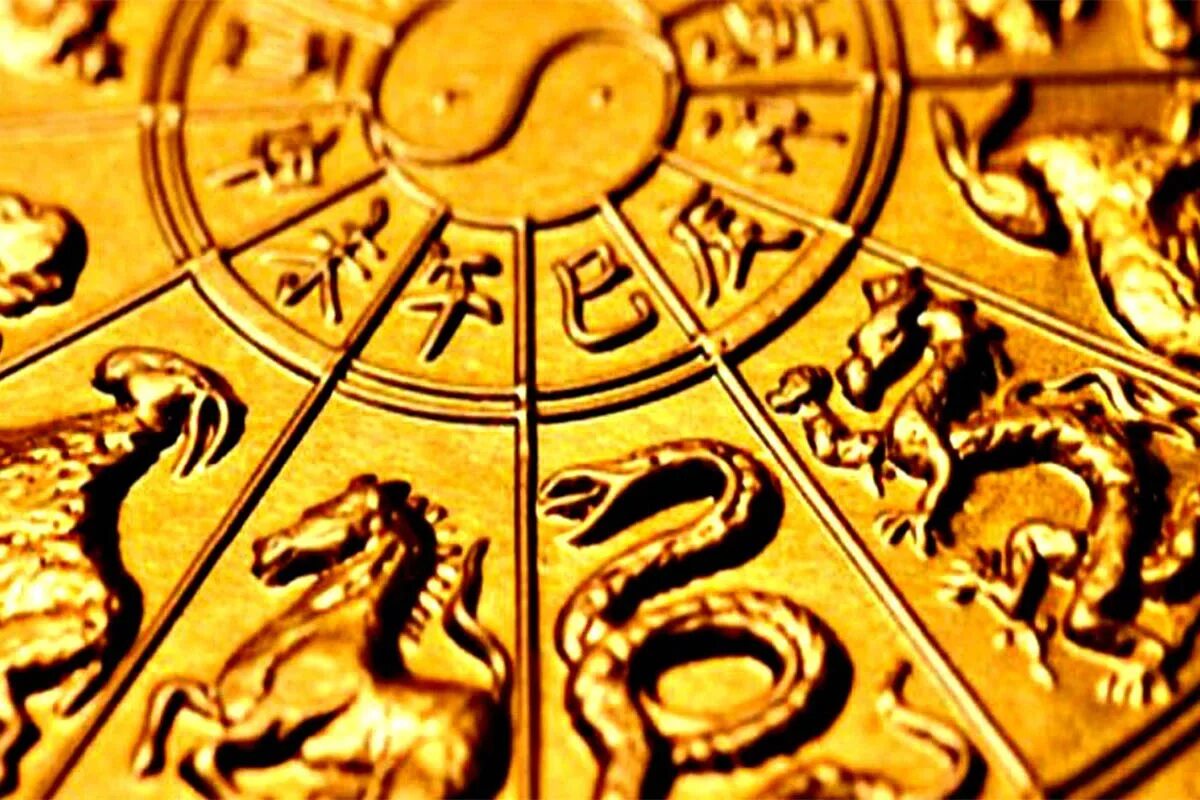 Появление год 2014. Китайская астрология. Китайский Зодиак. Зодиакальный круг фэн шуй. Четыре знака зодиака Китай.