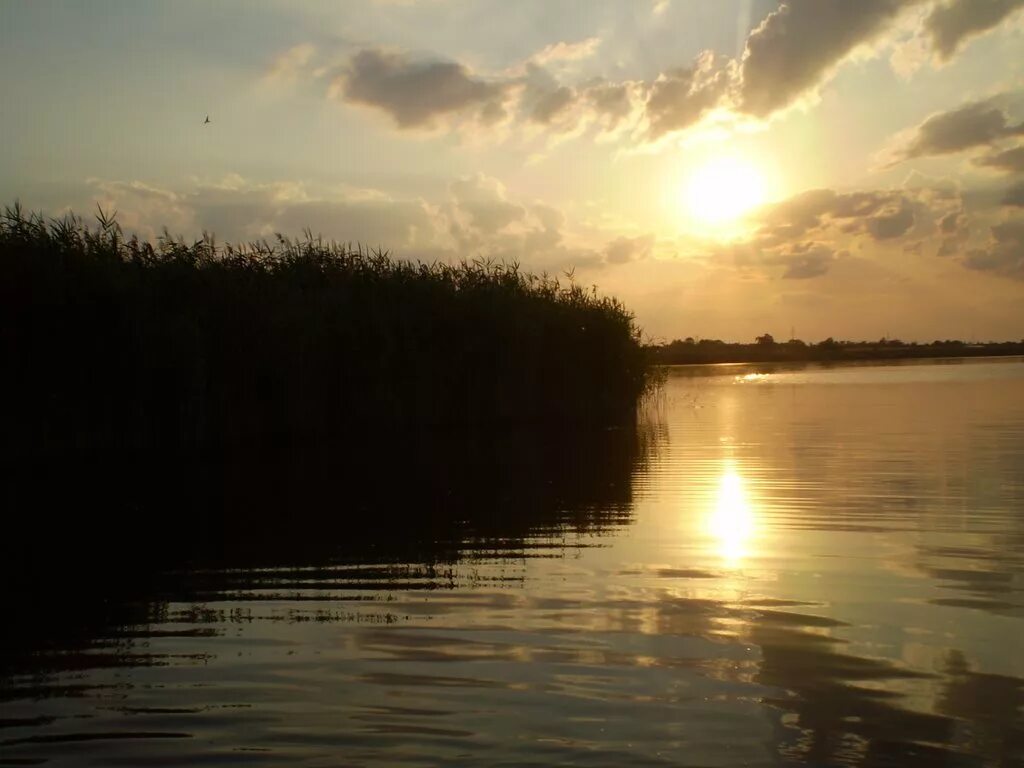 погода водяном каменке днепровском