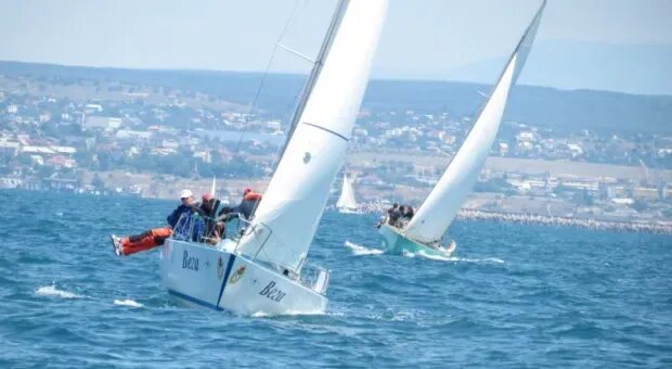 Заказать Тартар из лосося (Закуски), 380 ₽ - доставка из "Regatta" В Туапсе