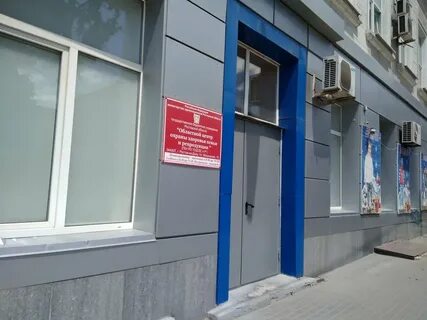 Московская 79 ростов на дону запись прием
