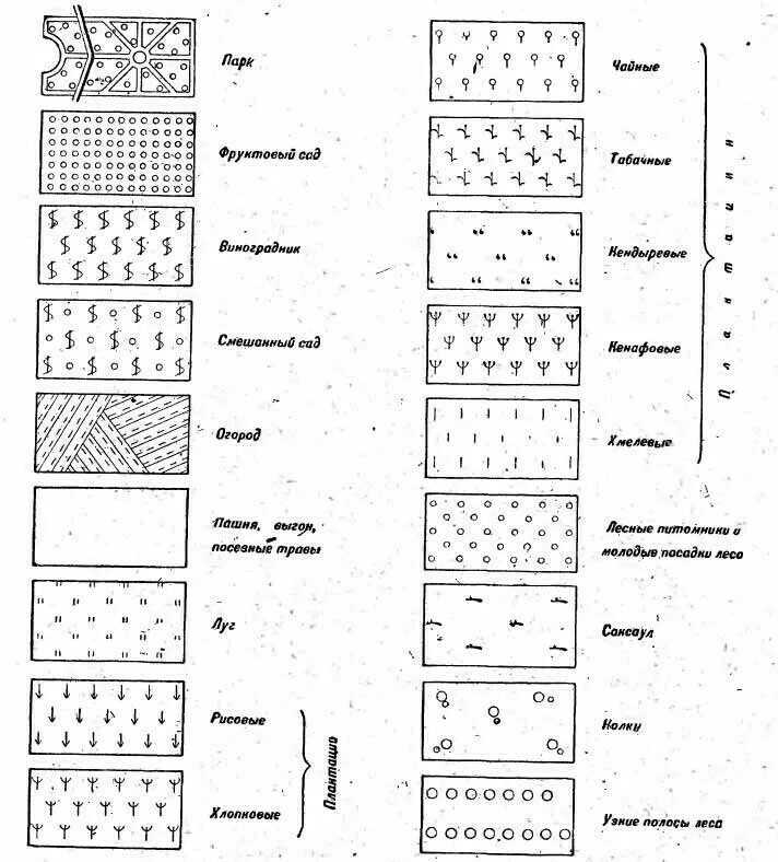 Условный знак сад. Условные обозначения полей на топографической карте. Обозначение леса на топографических картах. Обозначение фруктового сада на топографической карте. Ягодники обозначения топографической карте.