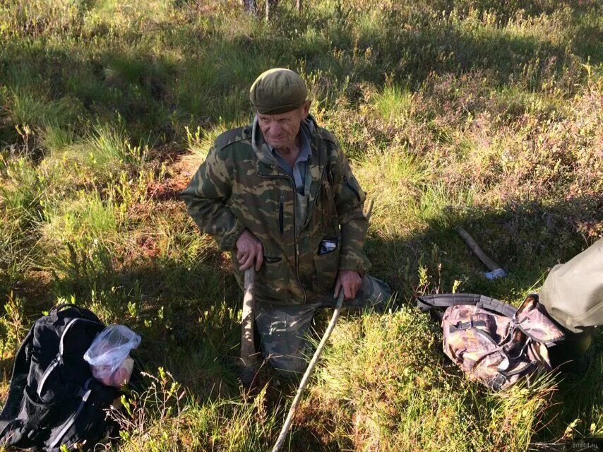 Найден пенсионер. Мужик потерялся в лесу. Дед в лесу. Пенсионеры в лесу. Дед в летнем лесу.