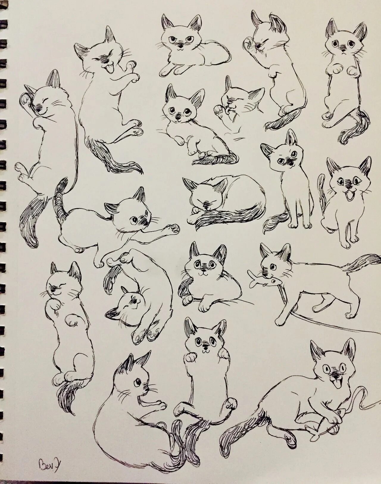 Идеи для рисунков котиков