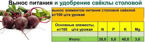 Сколько выносят