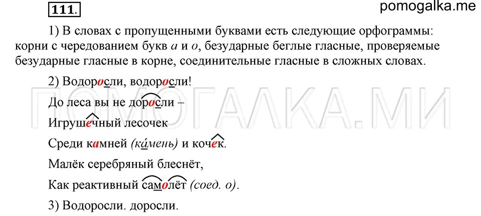 Русский язык пятый класс упражнение 111. Гдз по русскому языку упражнение 248. Русский язык пятый класс упражнение 111. Русский язык пятый класс упражнение 111. Русский язык 5 класс ладыженская упражнение.