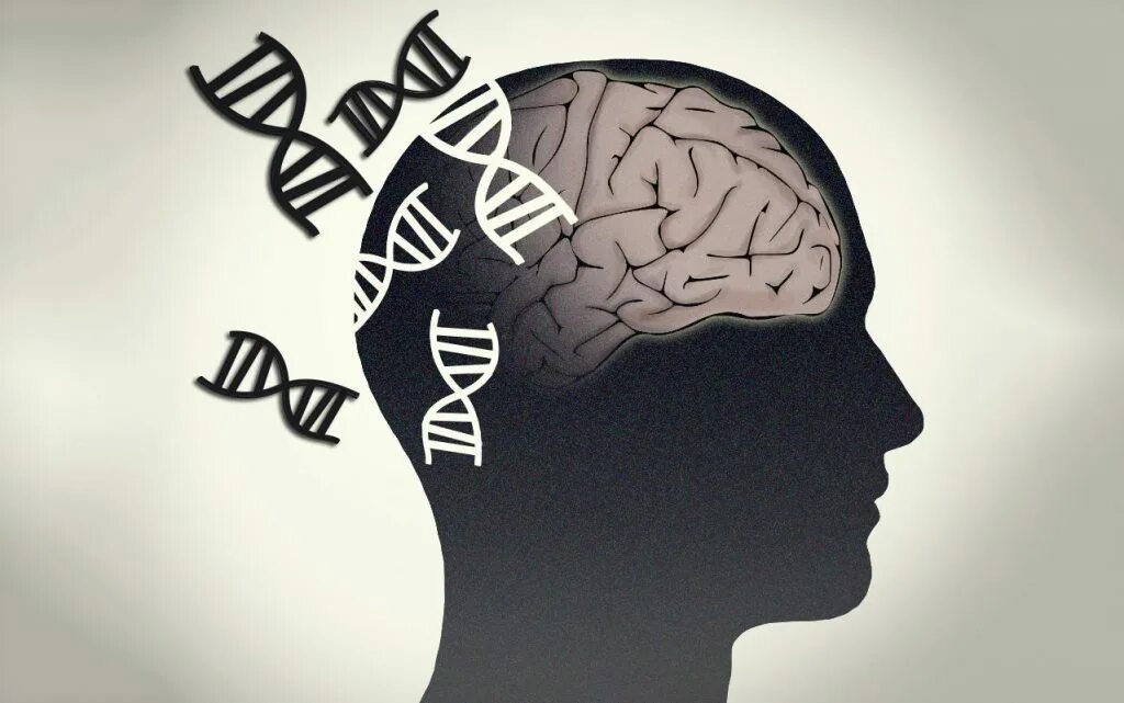 Наследственное заболевание мозга. Мозг память. Мозг ДНК. Психологические иллюстрации. Психология картинки.