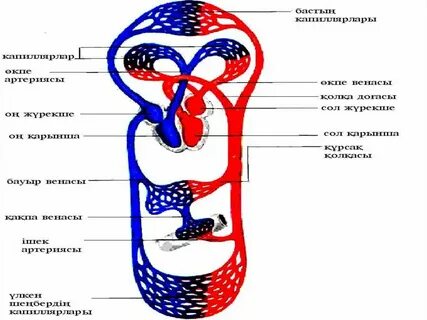 Қызыл етік порно онлайн