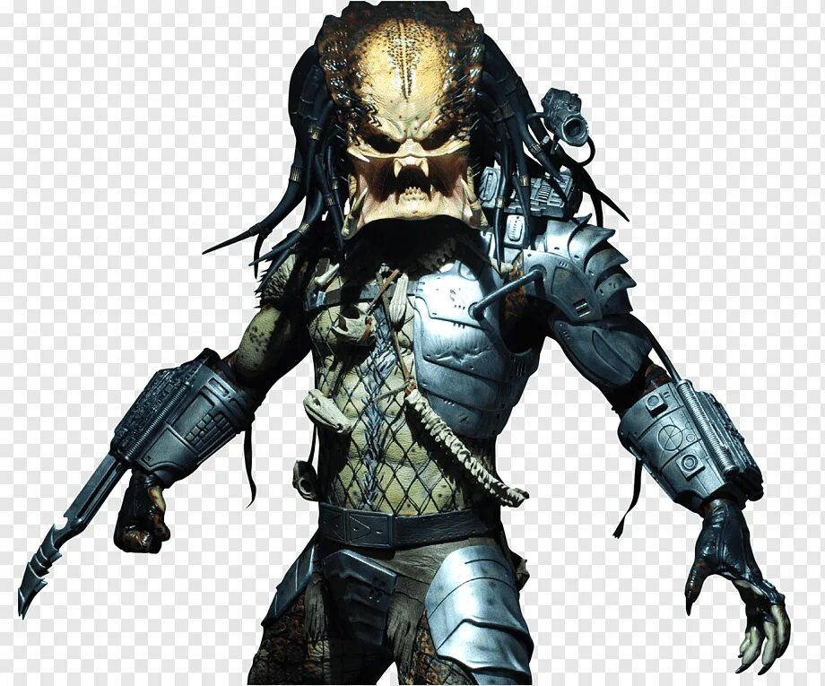 White predator