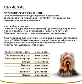 Акватрейдер