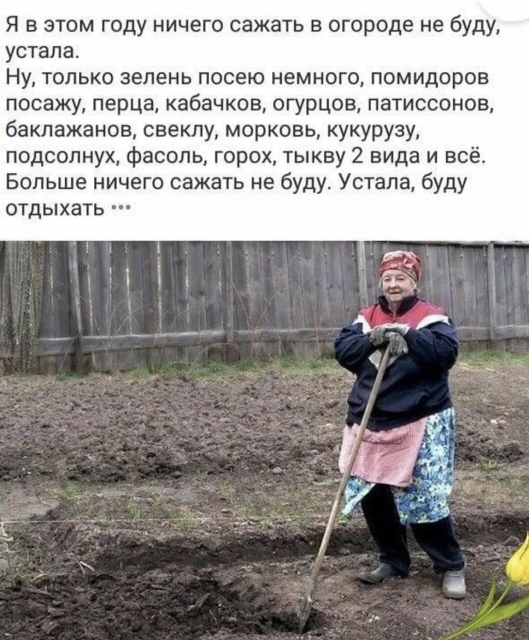 В этом году ничего сажать не буду. В этом году ничего сажать в огороде не буду. В этом году ничего сажать не буду устала. Я В этом году ничего сажать в огороде не буду устала. Никому не рад не посаженные деревья впр