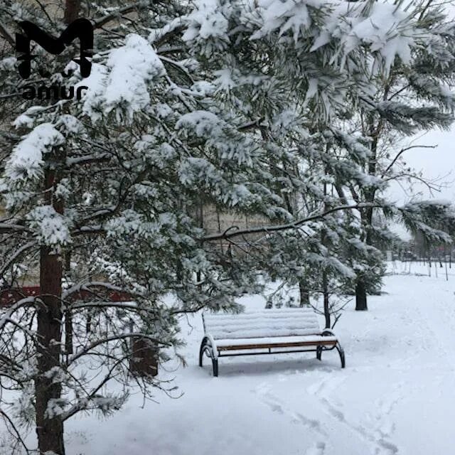 дорожку к дому твоему усыпал снег холодной. дорожку к дому твоему усыпал снег холодной. зимний вечер. заснеженные дорожки парка. ландшафт зимой.