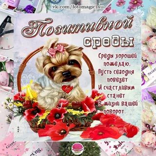 Добрый день среда картинки красивые с пожеланиями