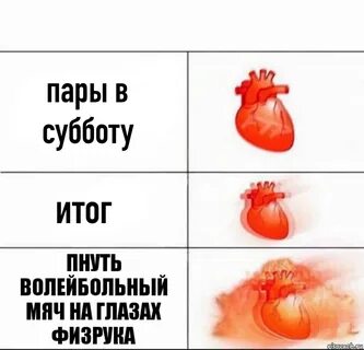 Почему нельзя пинать волейбольный мяч