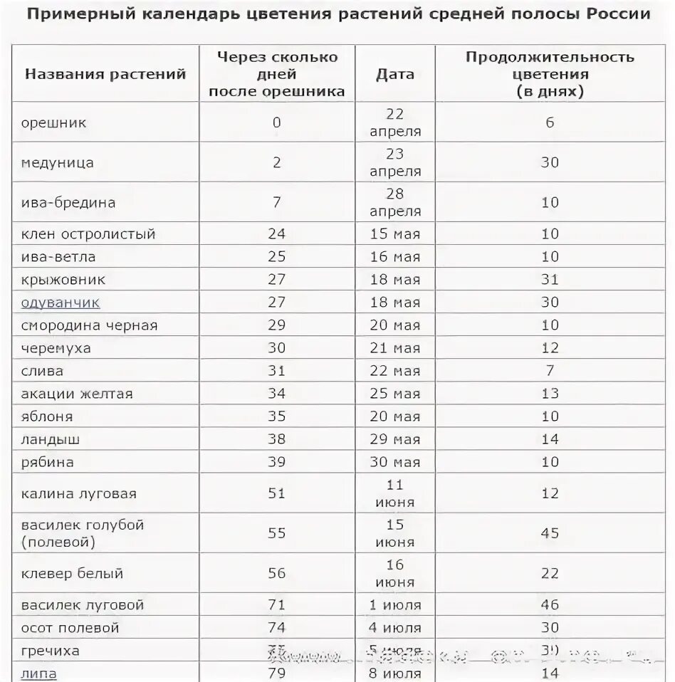 Через сколько дней зацветает. Календарь цветения медоносов в средней полосе России. Таблица сроков цветения медоносов. Календарь цветения растений средней полосы России. Таблица медоносов средней полосы России.