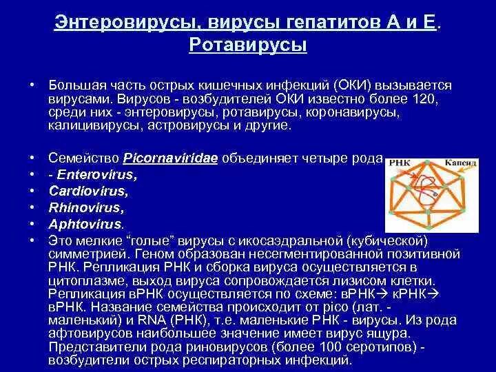 Возбудители вирусных кишечных инфекций гепатитов а и е. Возбудитель вирусных кишечных инфекций полиомиелит гепатит а. Возбудители вирусных кишечных инфекций таблица. Вирус гепатита е. Кишечные инфекции вирусный гепатит