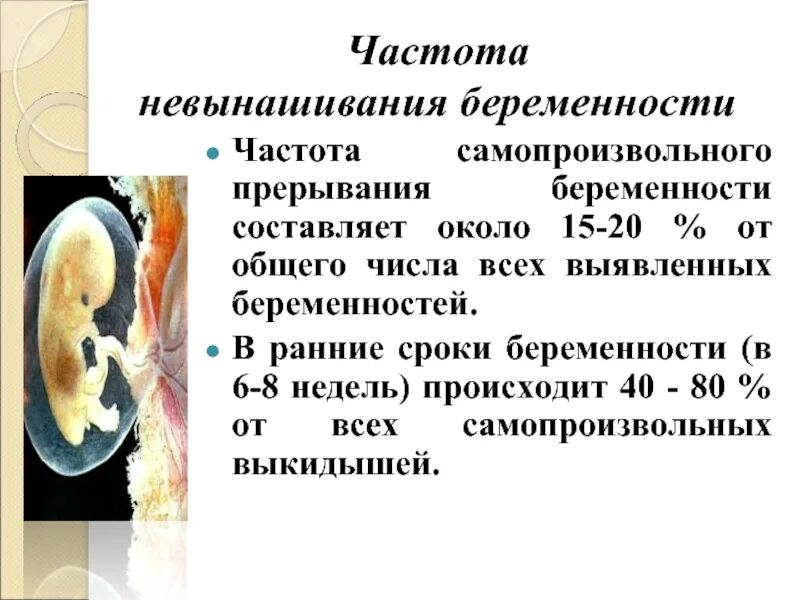 Причины невынашивания беременности. Невынашивание беременности сроки. Самопроизвольный выкидыш клинические рекомендации. Причины невынашивания беременности по срокам.