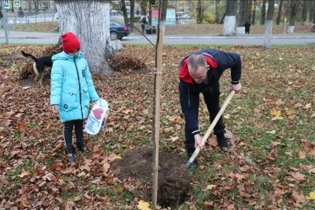 Дедушка посадил в нашем саду дерево. Посадка дерева во дворе многоквартирного дома. Дедушка сажает дерево. Сажают деревья во дворе дома с лопатами. Пятигорск сажают деревья.