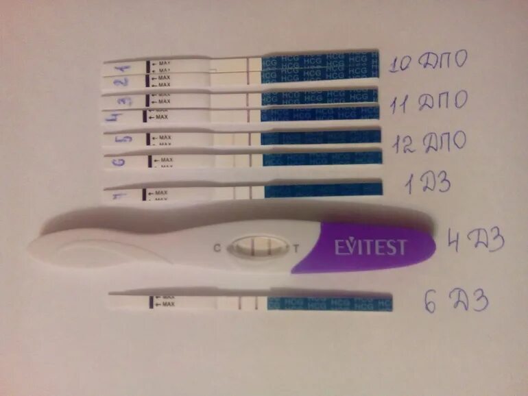 Тест показал беременность на 10 день задержки. 10 Дней после овуляции покажет ли тест беременность. Тест на 10 день после овуляции. 10 День ДПО тест на беременность. После овуляции 9-10 дней покажет ли тест.