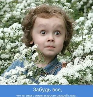 Посмотри на мир открытыми глазами