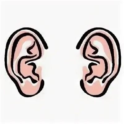 They are ears