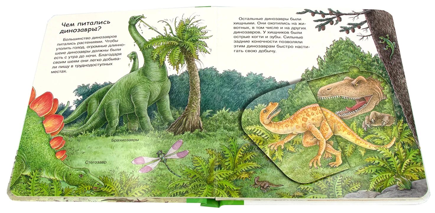 Динозавры (с окошками). Мир динозавров с окошками. Карточки динозавры для детей. Динозавры что зачем почему книга. Сказки про динозавров для детей слушать