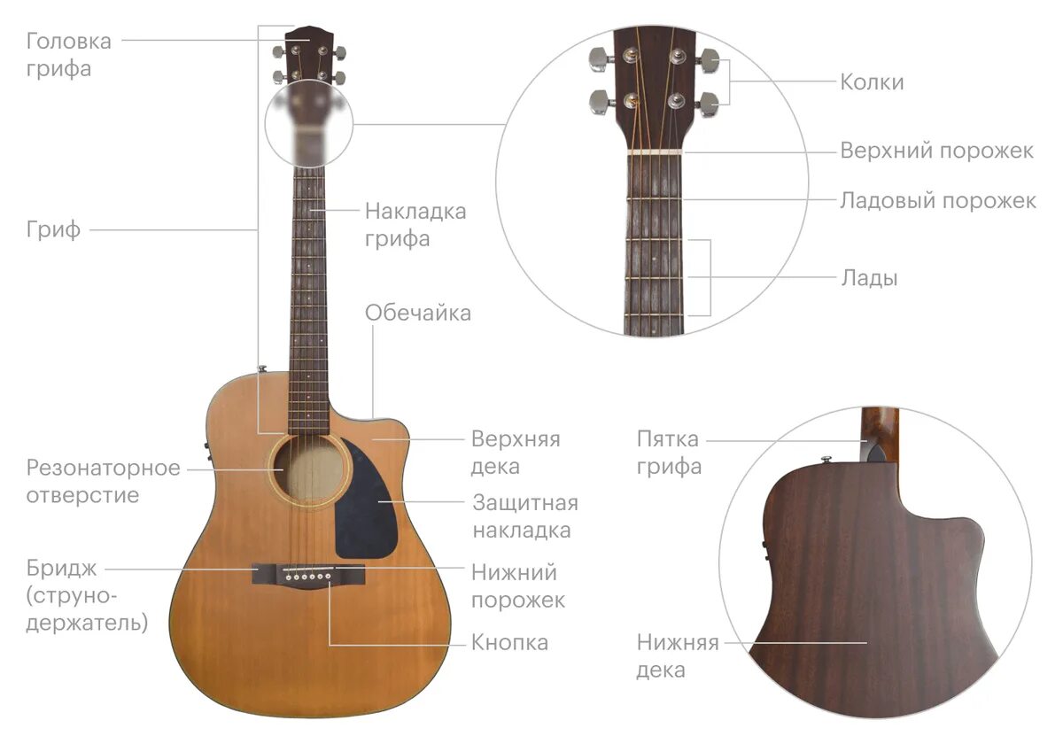 Как отличить гитару. Конструкция гитары. Части классической гитары. Конструкция гитары классической. Устройство гитары акустической.
