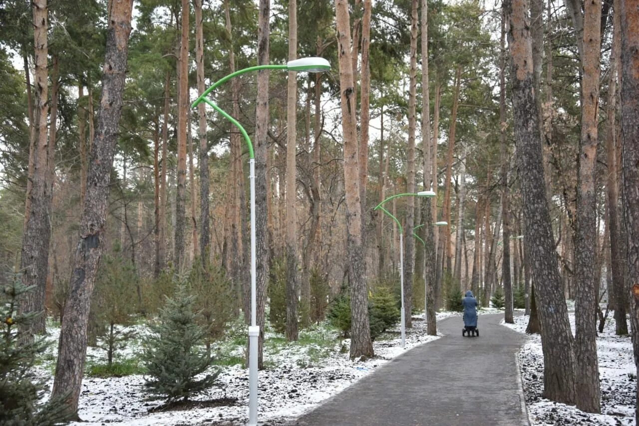 Зеленая роща сниму. Парк зеленая роща екатеринбург. сквер зеленая роща в екатеринбурге. парк зеленая роща 2025 екб. план парка зеленая роща екатеринбург.