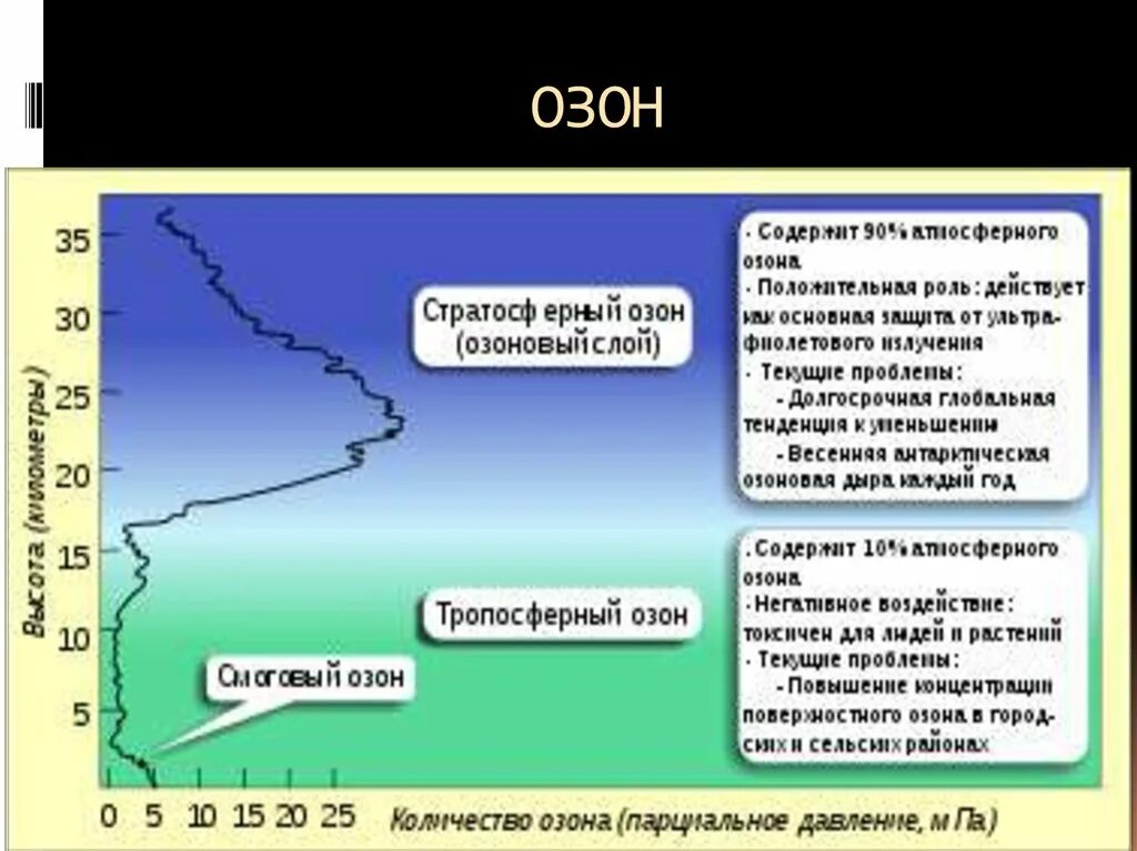 Какое значение озона. Значение озона для человека. роль озона в атмосфере. важность озона. значение озона в жизни человека.