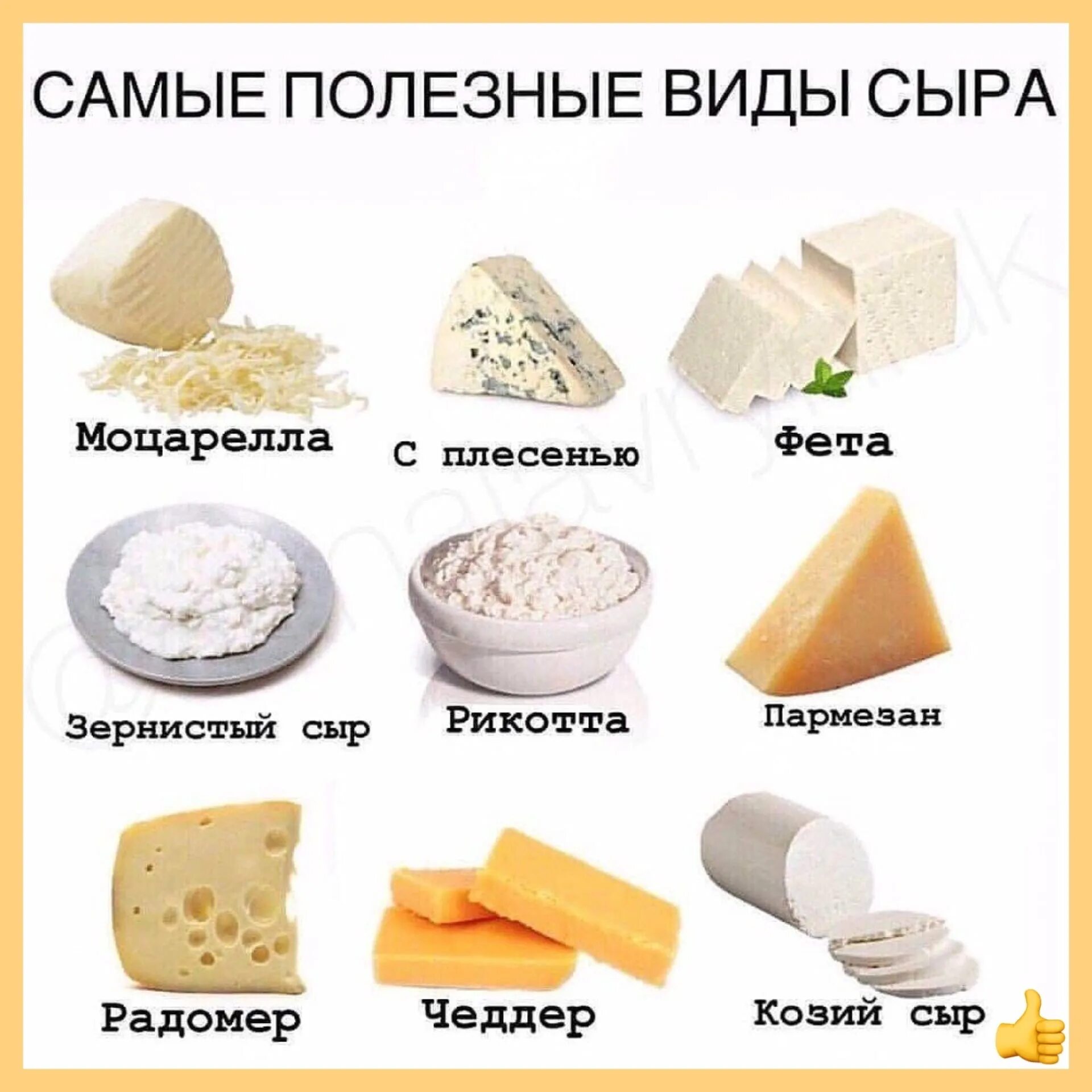 Можно есть сыр при поджелудочной. Сыр. разновидности сыров. название сыра. сыры сорта.