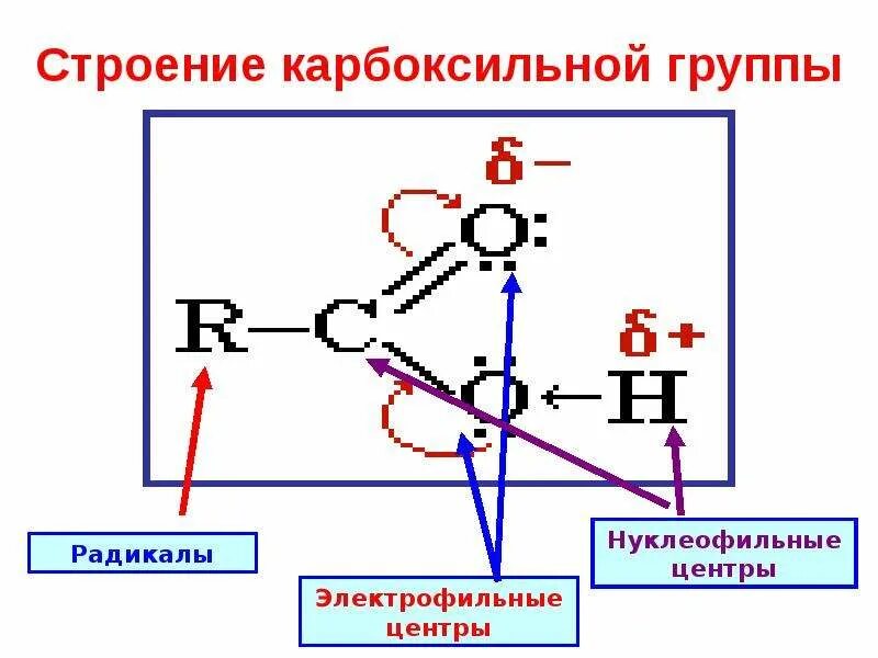 Органическое вещество содержащее в молекуле карбоксильную группу
