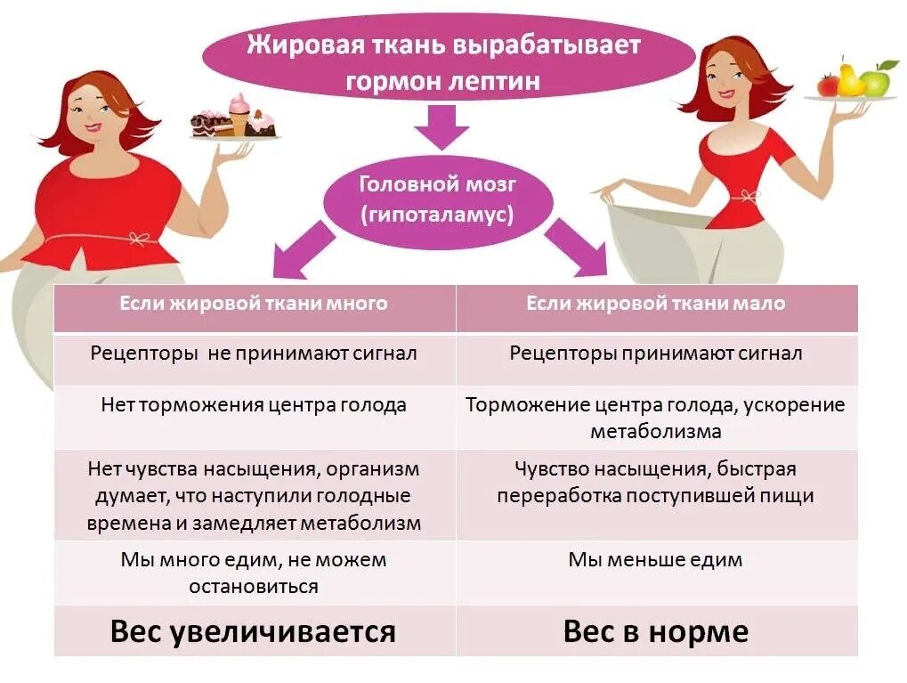 По повышен у женщин. Гормоны влияющие на ожирение. Гормоны влияющие на лишний вес. Влияние женских гормонов на вес женщины. Гормоны влияющие на набор веса у женщин.