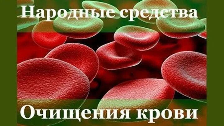 Густая кровь народными. Очистка крови народными средствами. Народные средства очистки крови.