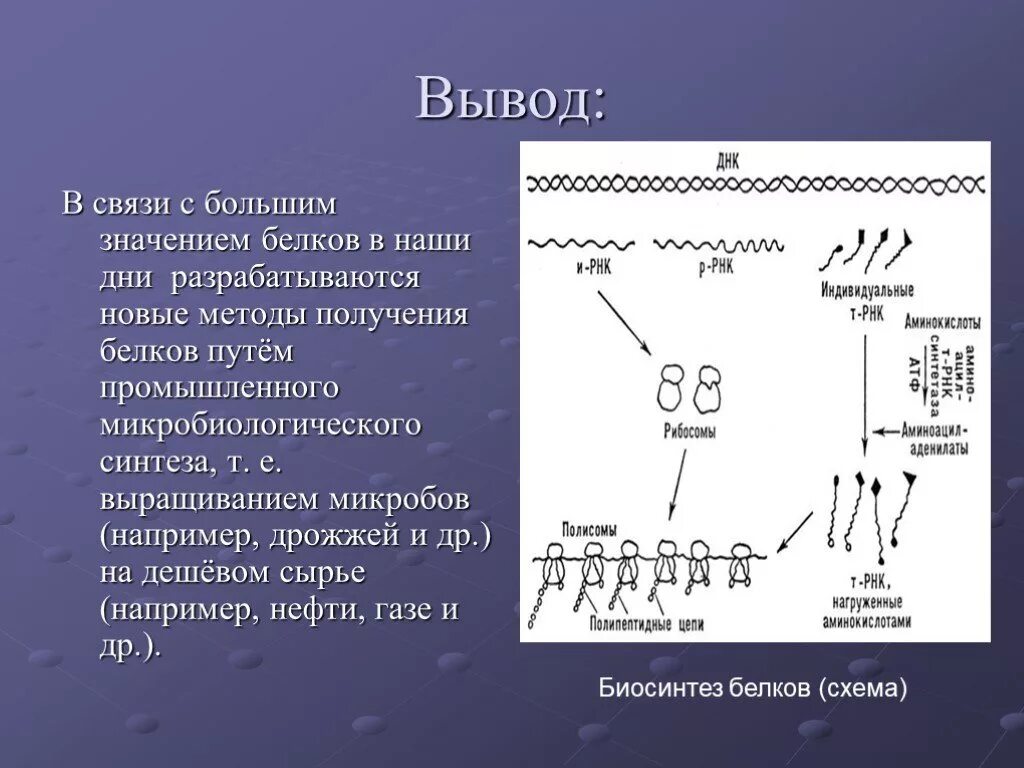 Взаимосвязь биосинтеза белка и дыхания. Получение белков. Получение и применение белков. Синтез белков. Методы синтеза белков искусственный.