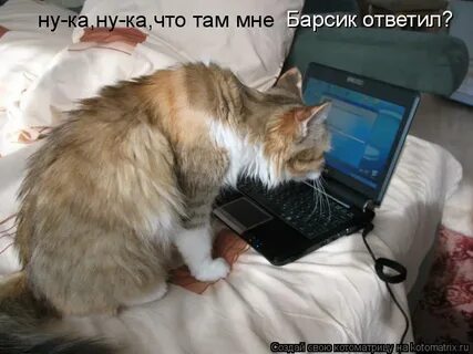 А ка что это