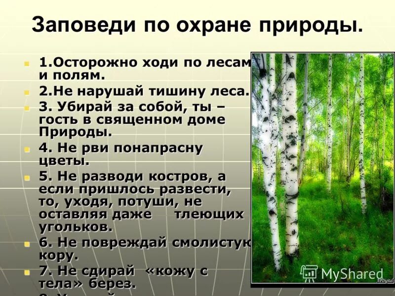 Всемирный день окружающей среды - YouTube