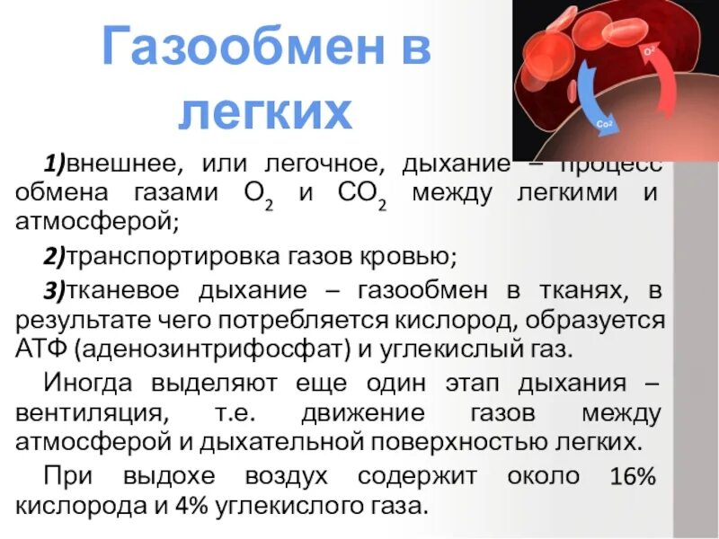 Обмен газов между легочным воздухом и