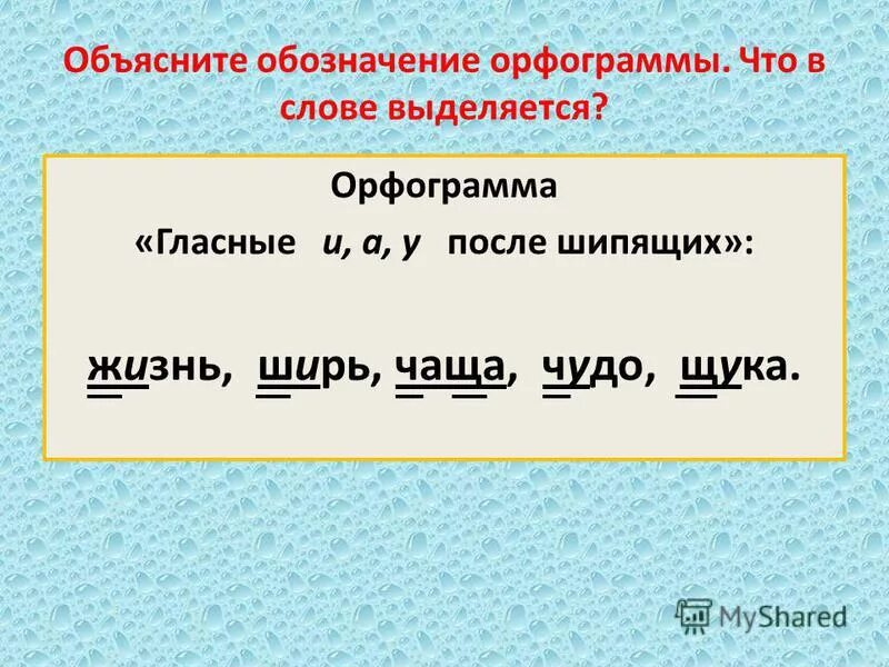 Слово узкий обозначает. Что такое орфограмма. Выделить орфограммы в тексте. Как подчеркнуть орфограммы. Как обозначается орфограмма в слове.