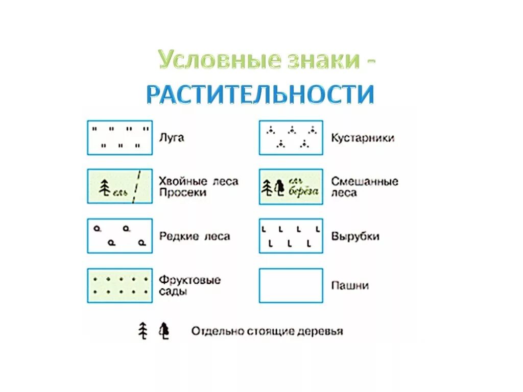 Топографические условные знаки растительность. Топографические знаки растительный Покров. Лес обозначение на топографической карте. Условные обозначения растительности на топографических картах. Условные знаки заповедников