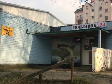 Рыбалка круглосуточно