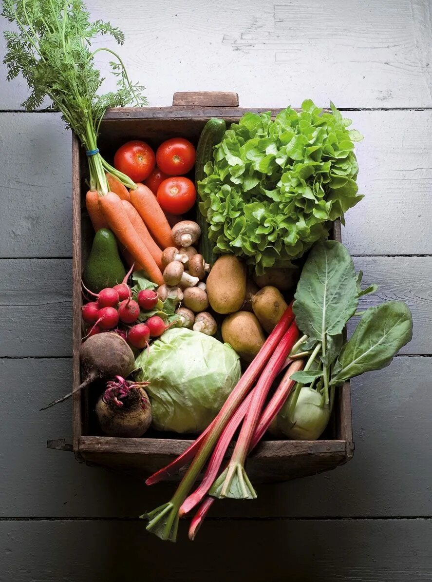 Only vegetable. Овощи. Свежие овощи и зелень. Овощи и фрукты. Овощные культуры.