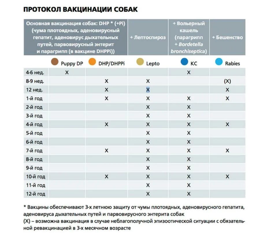 Профилактический осмотр и вакцинация щенка породы Шпиц по кличке "Белочка" - ГБУ