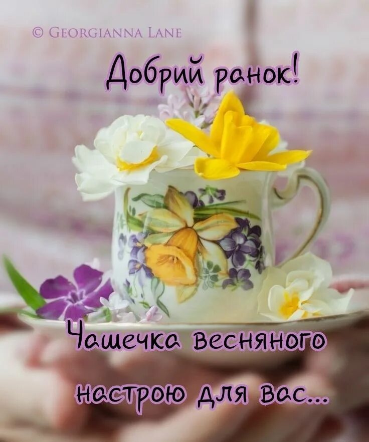 Доброго весняного ранку. Пожелание доброго утра на украинском. Доброго весняного ранку картинки українською мовою. Нарциссы и чай.