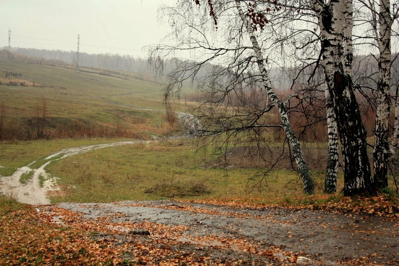 Картинки поздней. Козельск поздняя осень. Остафьево поздняя осень. Поздняя осень пейзаж. Поздний осенний пейзаж.