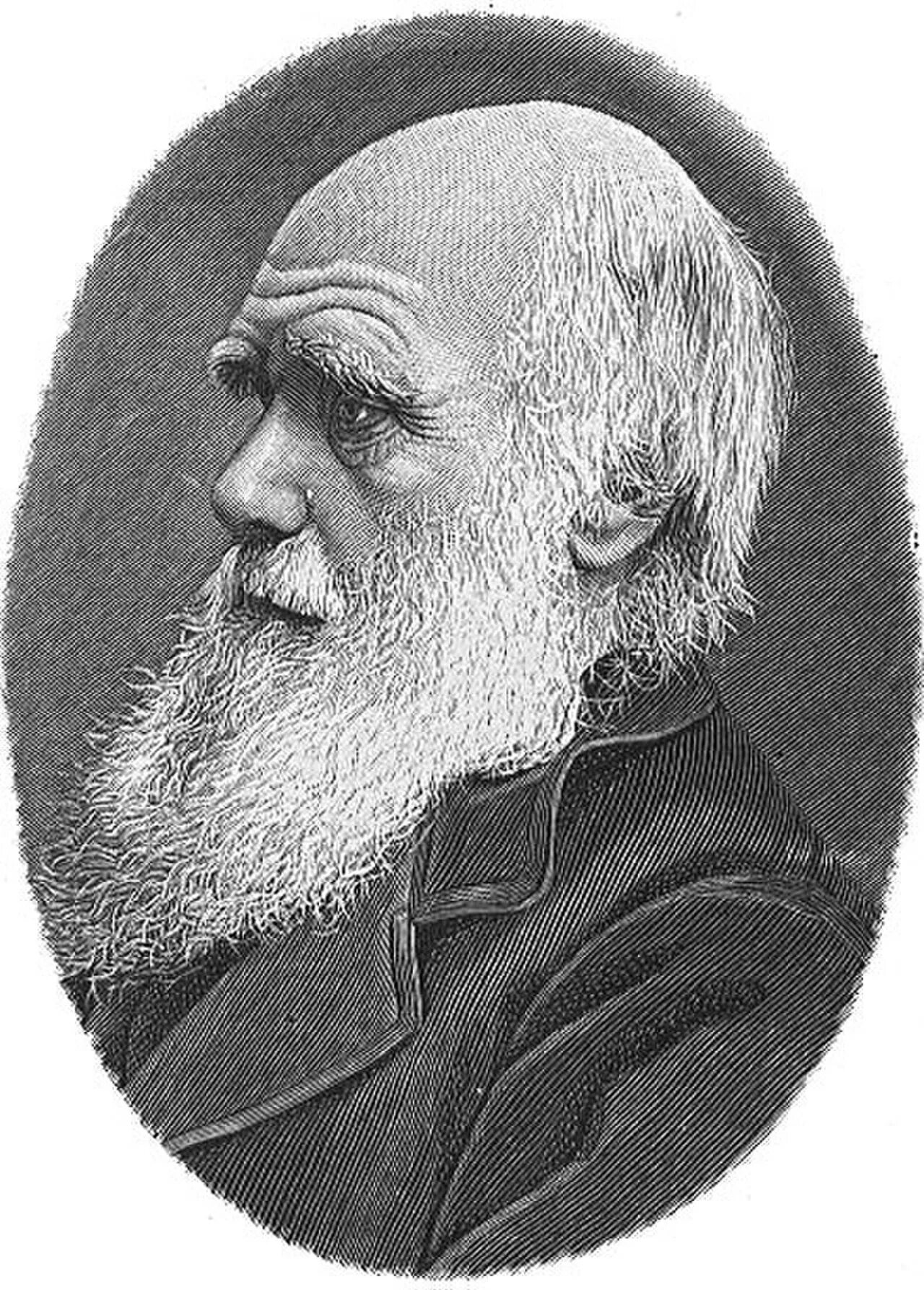Дарвин это. 1882 Дарвин.