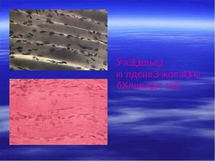 Жеке орыс порно онлайн