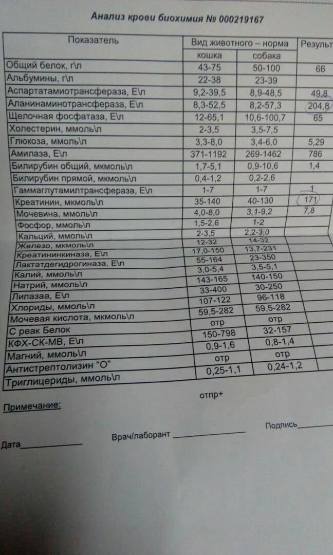 Ревматоидный фактор мочевая кислота. Анализ крови для ревматолога. Биохимия анализ. Биохимия крови для ревматолога. Анализ крови при гастродуодените показатели.